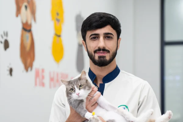 АТАКИШИЕВ ЭЛГЮН АЗАЙ ОГЛУ