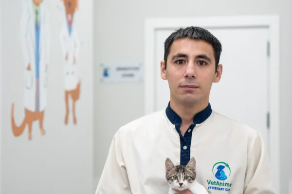 МАММЕДОВ РАХМАН БАХМАН ОГЛЫ