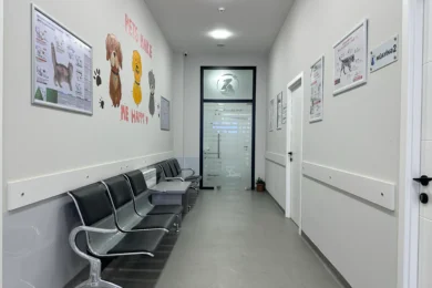 Коридор и зона отдыха