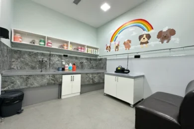 Комната для груминга