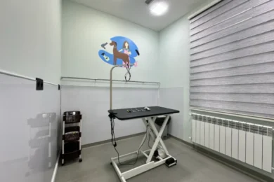Комната для груминга