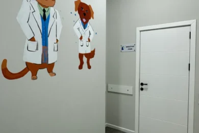 Оформление интерьера клиники