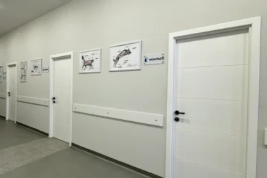 Коридор и информационные табло