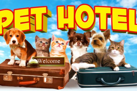 Отель для животных,Зоогостиница