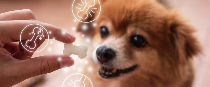 Кальций для собак
дефицит кальция у собак
гипокальциемия у собак
симптомы нехватки кальция у собак