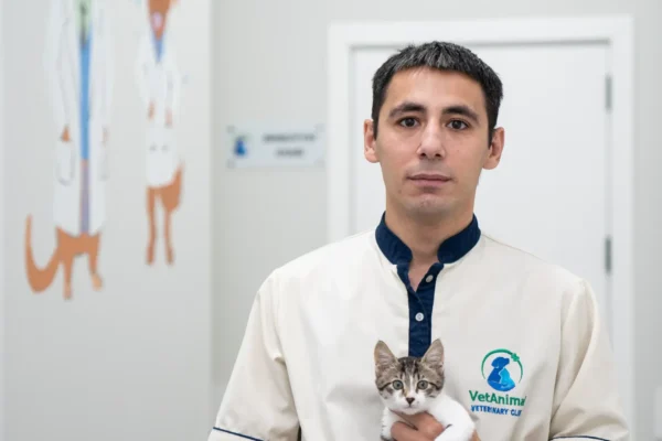 MƏMMƏDOV RƏHMAN BƏHMAN OĞLU