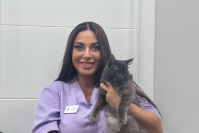 MUSTAFAYEVA BAHİRƏ ARİF