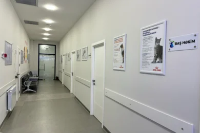 Dəhliz və məlumat lövhələri