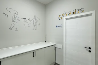 Grooming otağı girişi