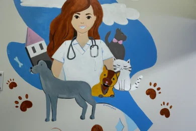 Divar rəsmi – Baytar və Dostlarımız